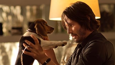 Imagem da notícia Concurso de Críticas: Escreva um texto sobre De Volta ao Jogo e concorra a prêmio!