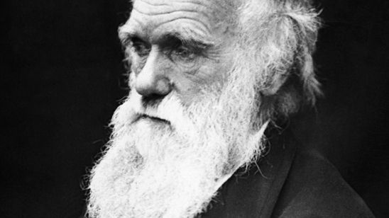 Imagem da notícia Disney vai produzir filme de aventura sobre Charles Darwin