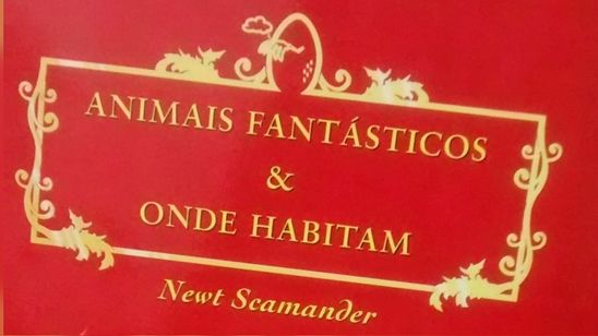 Imagem da notícia Animais Fantásticos e Onde Habitam: Produtores buscam jovem atriz em audições abertas ao público