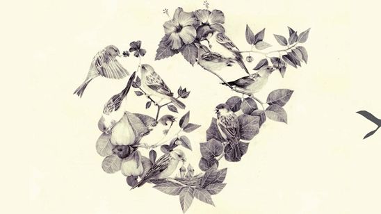 Imagem da notícia Semana dos Realizadores anuncia os títulos selecionados para a edição 2015