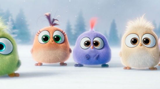 Imagem da notícia Os filhotes de Angry Birds - O Filme desejam Feliz Natal em novo - e fofo - vídeo promocional
