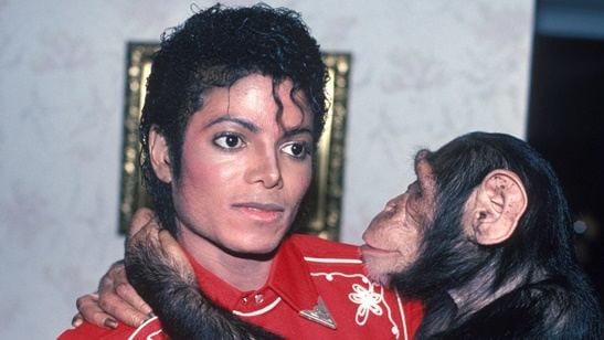 Filme sobre chimpanzé de Michael Jackson se destaca em lista com os melhores roteiros (ainda) não produzidos em Hollywood