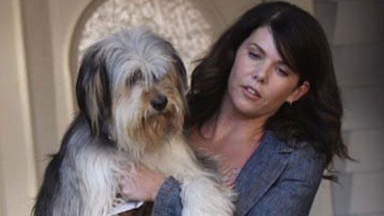 Imagem da notícia Gilmore Girls confirma o retorno de Paul Anka, o cachorro de Lorelai