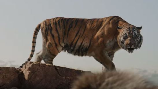 Mogli - O Menino Lobo: Tigre Shere Khan ameaça menino em novo comercial de TV