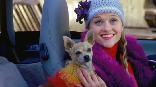 Imagem da notícia Morre o chihuahua de Legalmente Loira