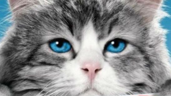 Imagem da notícia Exclusivo: Kevin Spacey está com saudades da antiga vida no cartaz da comédia Virei um Gato