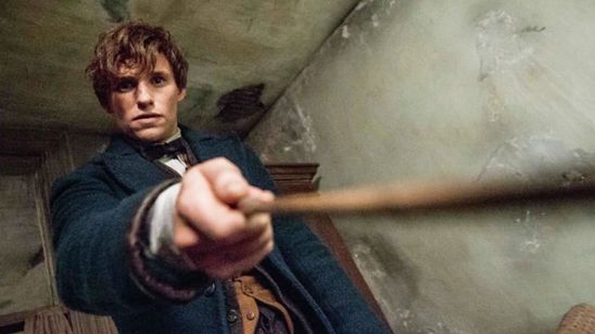 Imagem da notícia David Yates vai dirigir Animais Fantásticos e Onde Habitam 2, que chegará aos cinemas no fim de 2018
