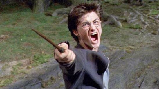 Imagem da notícia Vendedor de varinhas proíbe que fãs de Harry Potter comprem os itens