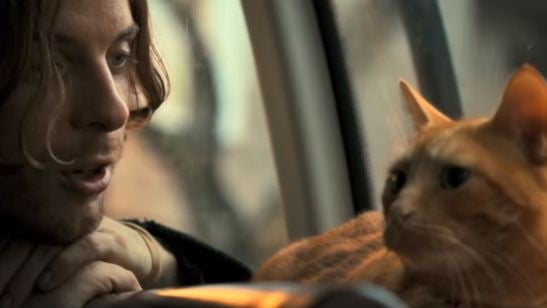 Saiu o trailer legendado da adaptação Um Gato de Rua Chamado Bob