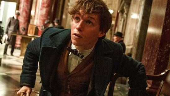 Imagem da notícia Animais Fantásticos e Onde Habitam pode ter grande conexão com a busca pelas Relíquias da Morte