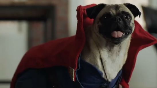 Novo comercial de Doutor Estranho apresenta as versões caninas (e fofas) dos Vingadores