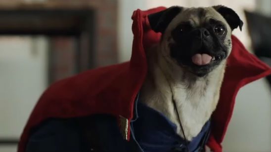 Imagem da notícia Novo comercial de Doutor Estranho apresenta as versões caninas (e fofas) dos Vingadores