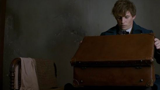 Imagem da notícia Animais Fantásticos e Onde Habitam: David Yates fala sobre sequência "mais obscura" e anuncia que começará a rodar em julho de 2017