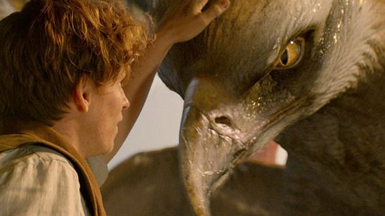 Imagem da notícia Animais Fantásticos e Onde Habitam atinge a marca de meio bilhão de arrecadação