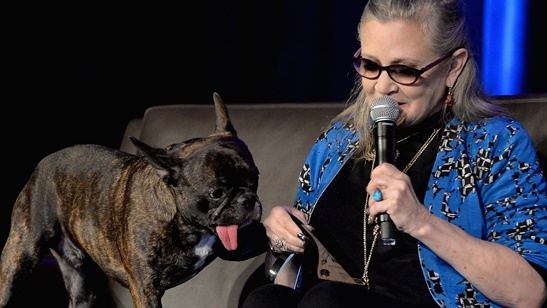 Carrie Fisher dublou dois episódios inéditos de Uma Família da Pesada