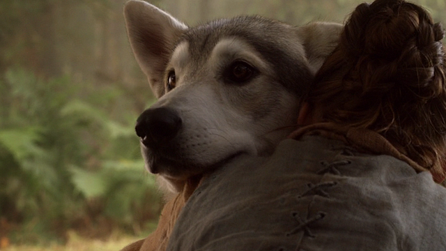 Imagem da notícia Game of Thrones: Novas evidências sugerem reencontro entre Arya e Nymeria na sétima temporada