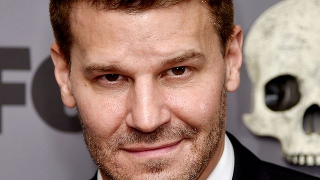 Imagem da notícia David Boreanaz substitui Jim Caviezel em novo piloto da CBS