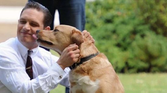 Imagem da notícia Tom Hardy posta comovente carta após a morte de seu cachorro