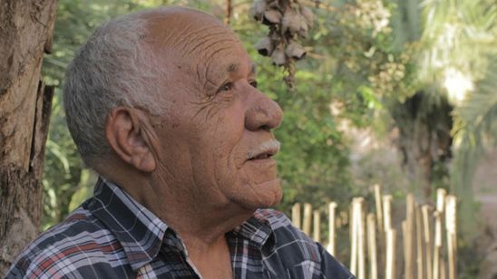 Imagem da notícia Festival Guarnicê 2017: Competição termina com meme local e sucessos de João Silva, parceiro de Luiz Gonzaga