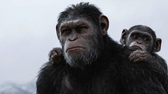 Imagem da notícia Bilheterias Brasil: Planeta dos Macacos - A Guerra lota os cinemas