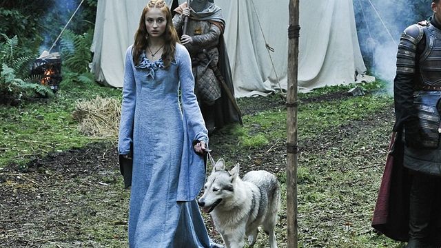Imagem da notícia Morre Zunni, a cachorra que interpretou Lady em Game of Thrones e foi adotada por Sophie Turner