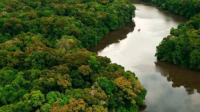 Imagem da notícia Netflix autoriza série original ambientada na fronteira entre Brasil e Colômbia