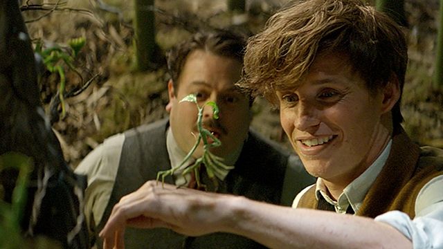 Imagem da notícia Eddie Redmayne revela quais criaturas retornam em Animais Fantásticos: Os Crimes de Grindelwald 