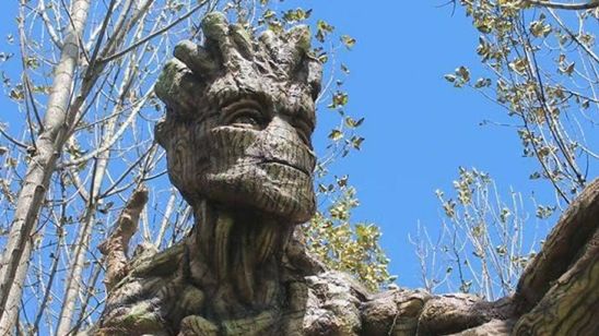 Imagem da notícia Diretor de Guardiões da Galáxia está maravilhado com esculturas gigantes do Groot