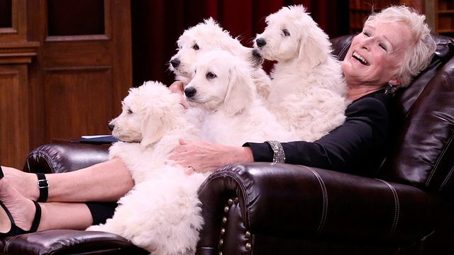 Imagem da notícia Glenn Close relembra dias de Cruella de Vil e rouba cachorrinhos do Mike de Stranger Things