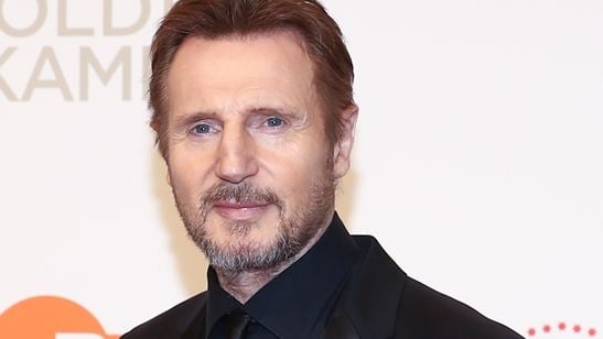 Liam Neeson revela que foi reconhecido por cavalo durante filmagens de seu novo projeto