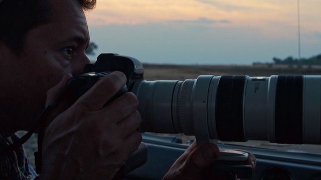 Imagem da notícia Cravos: Três gerações de uma família de artistas entram em conflito no trailer do documentário (Exclusivo)