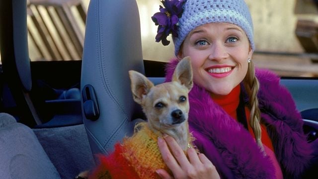 Imagem da notícia Trinkets: Netflix encomenda nova série da roteirista de Legalmente Loira e 10 Coisas que Eu Odeio em Você