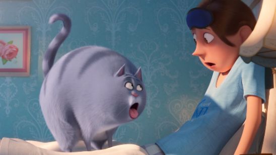 Imagem da notícia Pets - A Vida Secreta dos Bichos 2: Animais descobrem efeito da erva do gato em novo trailer