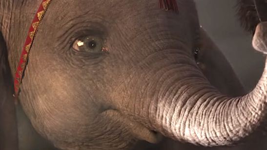 Dumbo: Novo teaser apresenta protagonista alçando voo