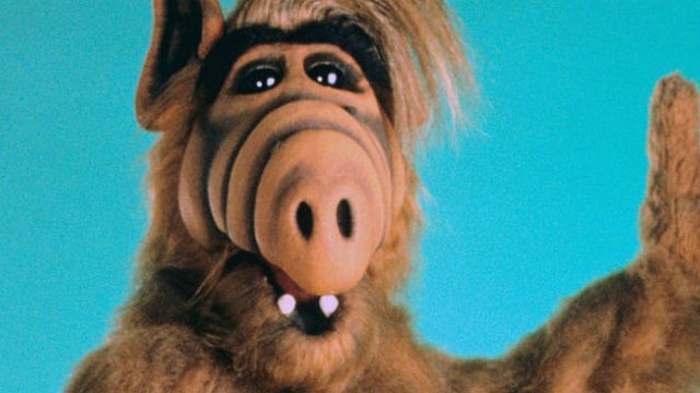 Imagem da notícia Young Sheldon tem participação de ALF, o ETeimoso