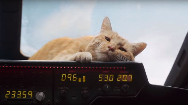 Capitã Marvel: Goose, o gato é a grande estrela de novo vídeo promocional