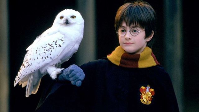 Dicas do Dia: Harry Potter e a Pedra Filosofal e Cartas para Julieta são os destaques