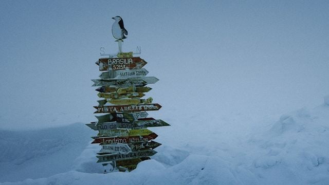 Antártica por um Ano: Documentário sobre a experiência de morar em um lugar tão isolado ganha trailer (Exclusivo)