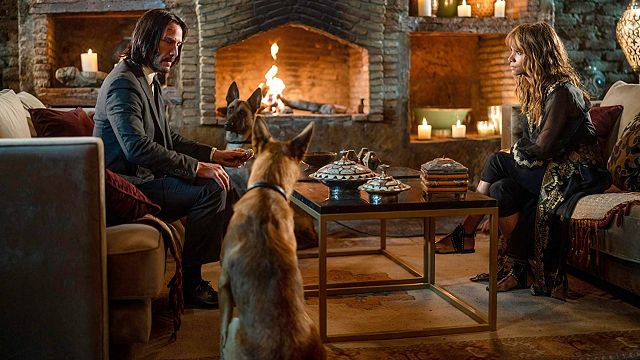 Imagem da notícia John Wick 3: Sequência de ação quase foi arruinada por causa de gatos