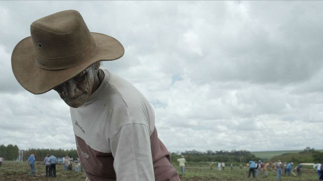 Imagem da notícia Olhar de Cinema 2019: Sessão de estreia de documentário sobre o MST ganha presença de integrantes