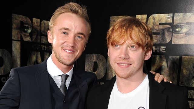 Imagem da notícia Harry Potter: Tom Felton e Rupert Grint adorariam retornar ao universo da franquia como outros personagens