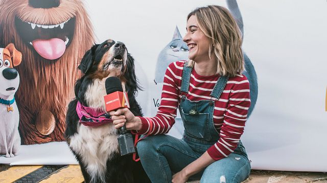 Imagem da notícia Pets 2: Pré-estreia conta com fãs acompanhados de seus bichinhos e entra para o livro dos recordes (Sessão AdoroCinema)