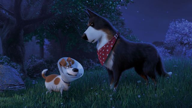 Pets - A Vida Secreta dos Bichos 2 é a maior estreia da semana