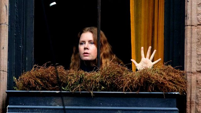 Imagem da notícia The Woman in the Window: Suspense com Amy Adams terá refilmagens após reações "confusas" do público