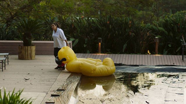 Imagem da notícia Festival de Toronto 2019: Novo filme de Regina Casé é selecionado