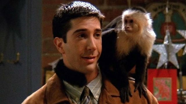 Macaco de Friends, Marcel é escalado em Y: O Último Homem