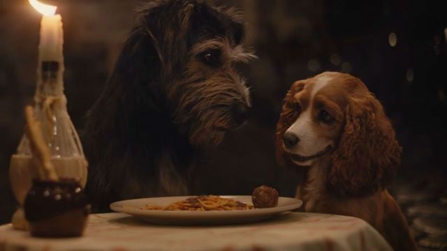 A Dama e o Vagabundo: Novo trailer reconta a clássica história de amor entre fofos cachorros