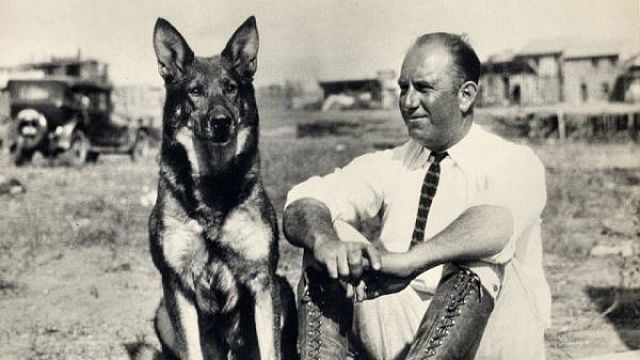 Imagem da notícia Rin Tin Tin ganhará nova versão nos cinemas