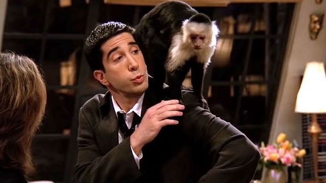 Imagem da notícia Macaco Marcel de Friends estrela novo curta de David Lynch