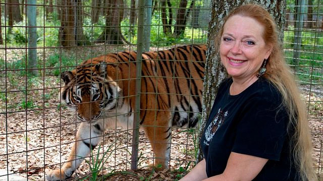 A Máfia dos Tigres pode ganhar continuação não oficial sobre Carole Baskin